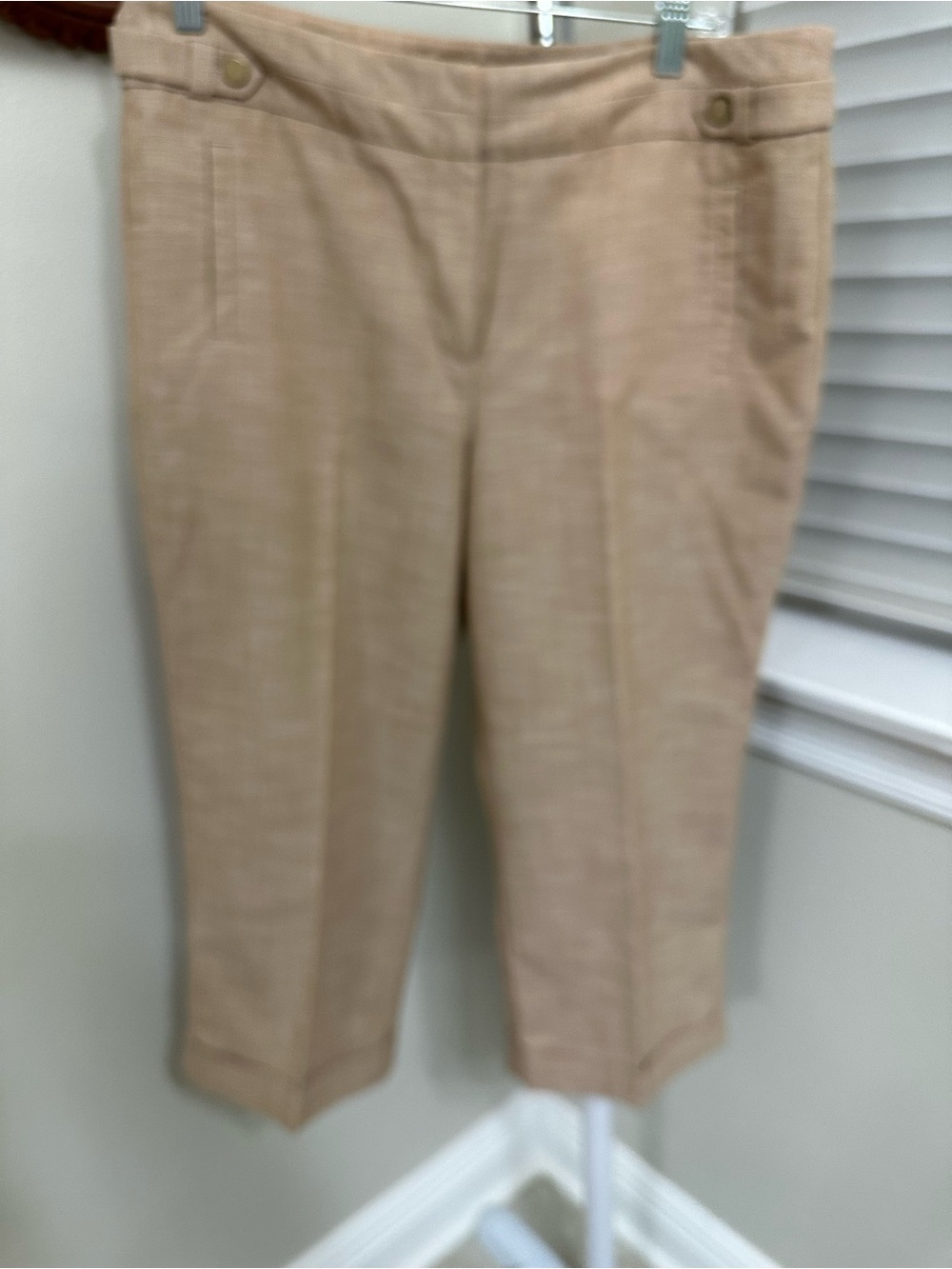 Larry Levine Women's Tan Capris, 12